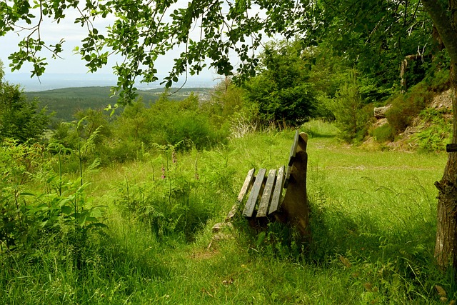 洲范围内一 洲范围内一