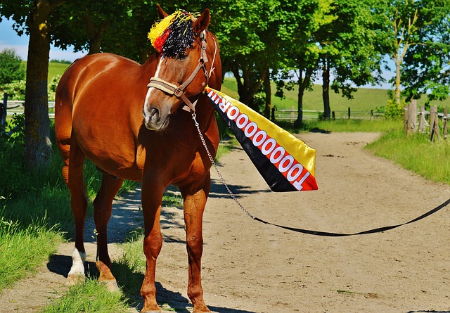 有研究显示 有研究显示