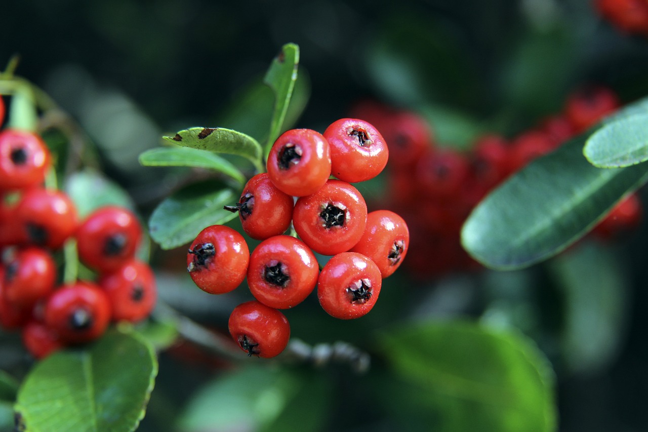 武磊到底为 武磊到底为